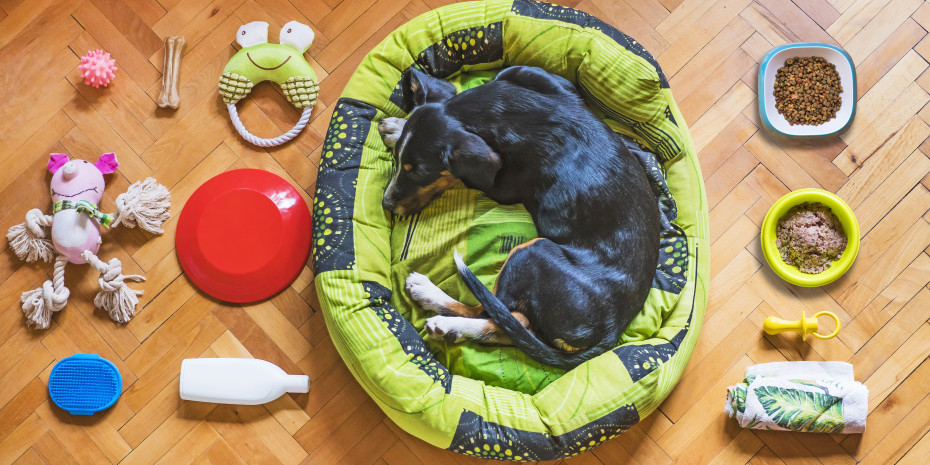 Food and accessories for dogs are important sales drivers. 