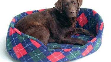 New products from the UK