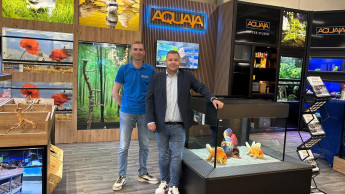 Aquaja names Tom Bootsma as co-owner Aquaja names Tom Bootsma as co-owner