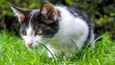 Stable household spending drives expansion