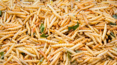 Ynsect's insolvency decided