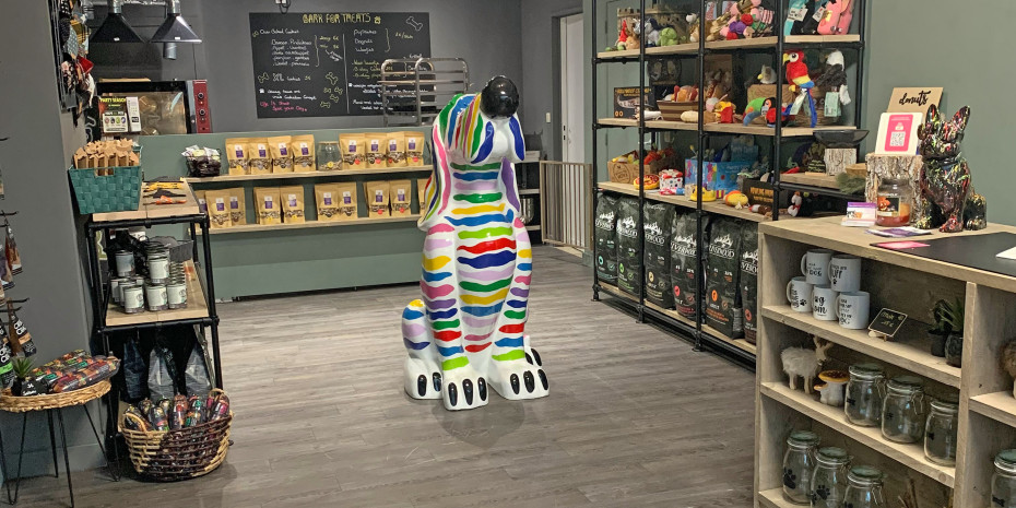 The brightly coloured dog in the shop is familiar throughout Mechelen and is an advertisement for Tldoggycare.  