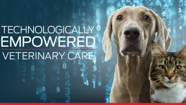 The future of pet nutrition and veterinary care