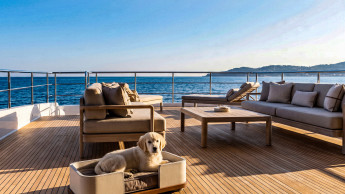 Italian yacht outfitter enters the pet segment Italian yacht outfitter enters the pet segment