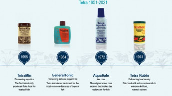 Tetra celebrates 70 years