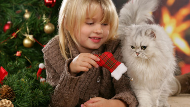 Merry Christmas and a happy new year!