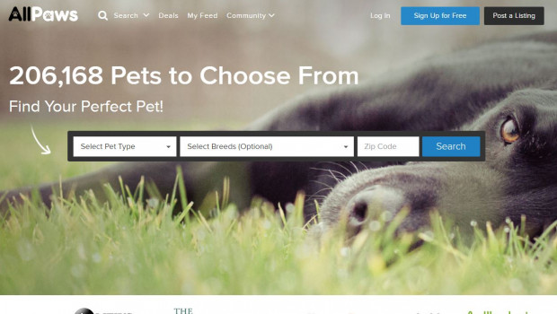 The platform typically averages 800 000 to 900 000 visits per month.