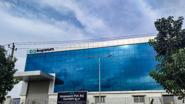 Silkworm pupae-derived products for Europe