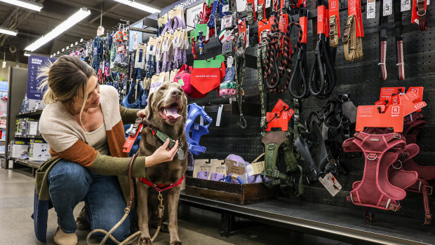 Pet parents can bring old dog collars, leashes, or harnesses into Petco locations nationwide for responsible recycling and receive 40 per cent off a new full-priced dog collar, leash, or harness.