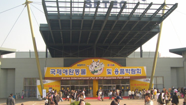 37,000 visitors at Kopet