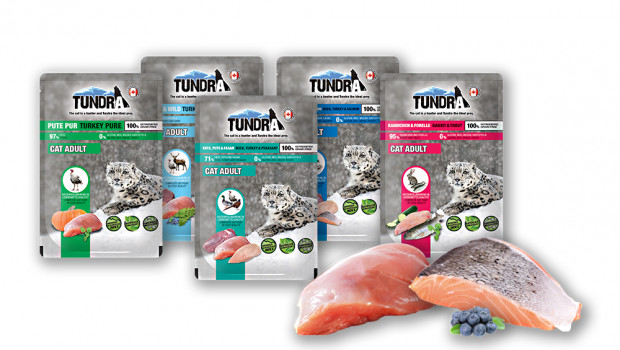 Tundra Pouch Cat, Tundra Petfood, Pro Pet Koller