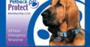 Pet reunification: On-pack promotion