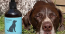 Tharos reports calming effect of a malt extract supplement in dogs