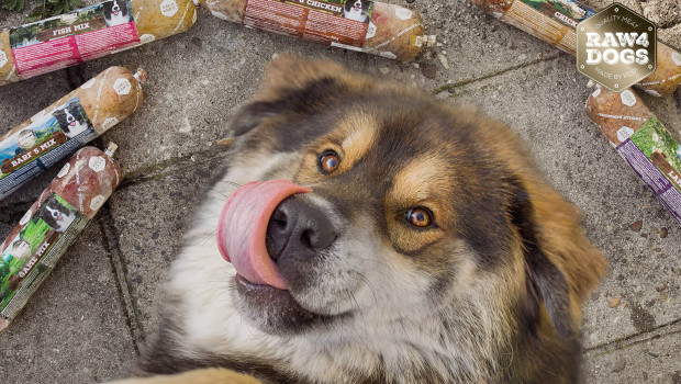 Ruinemans Group has acquired the Raw4Dogs brand from PPB.