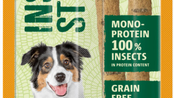 Treat made from insect protein