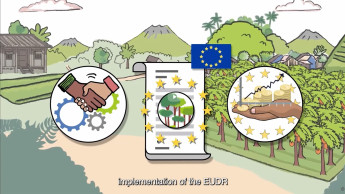 EU deforestation regulation postponed