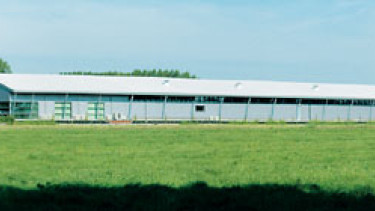 50 years of Ruinemans