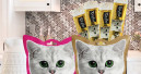 Expansion with cat products