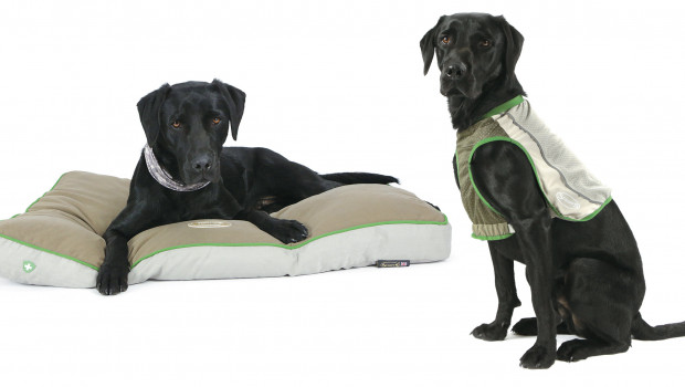 Scruffs Insect Shield dog beds & apparel