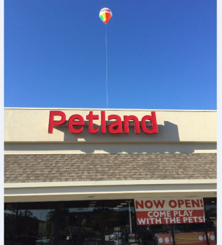 Photo: Petland