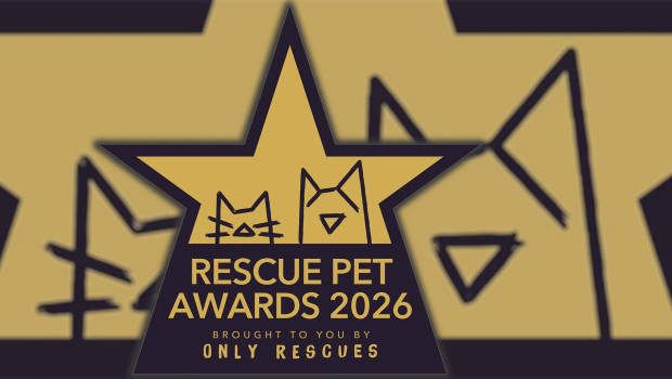 The countdown is on to nominate the rescue shelters, volunteers, foster carers, businesses and rescue pets making a difference, with nominations for the inaugural Rescue Pet Awards closing at the end of September. The countdown is on to nominate the rescue shelters, volunteers, foster carers, businesses and rescue pets making a difference, with nominations for the inaugural Rescue Pet Awards closing at the end of September.