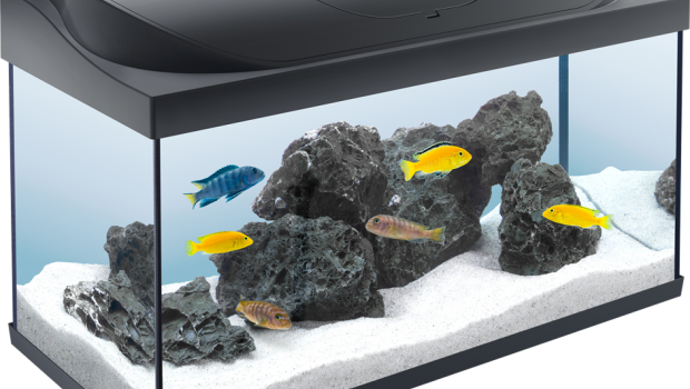 Tetra, Tetra Starter Line 105-litre aquarium