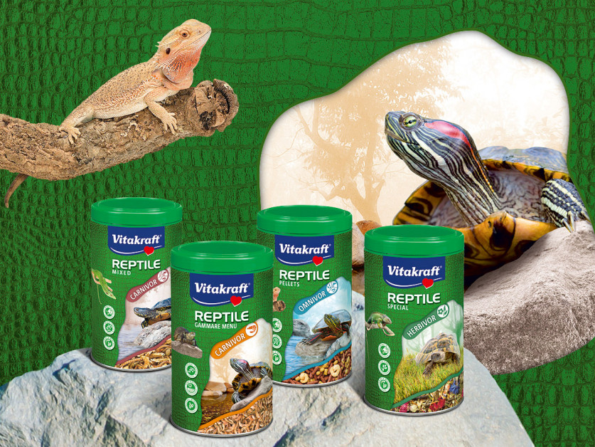 Reptile food in newly designed pack... petworldwide