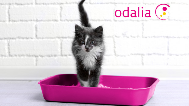 Scent and care ingredients from Diana Pet Food