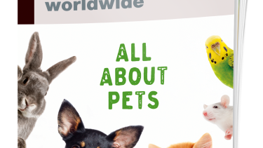 E-magazine Zoomark 2025