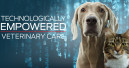 The future of pet nutrition and veterinary care