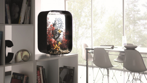 The biOrb acrylic aquariums are easy to maintain and are ideal for beginners.
