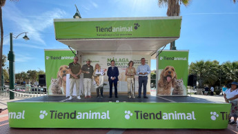 More than 600 dogs at Tiendanimal