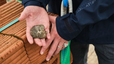 Purina supports the largest restoration project in UK