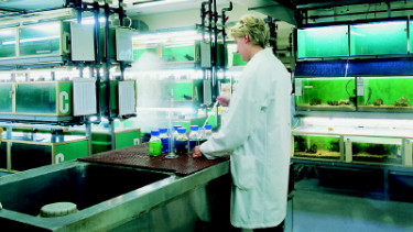 Tetra - Presence in over 80 countries