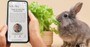 New ‘Supreme’ app for feeding advice