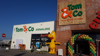 Tom & Co. seeks financial partner