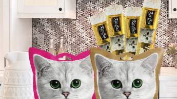 Expansion with cat products Expansion with cat products