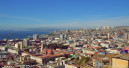 Chilean pet food market is undergoing a transformation