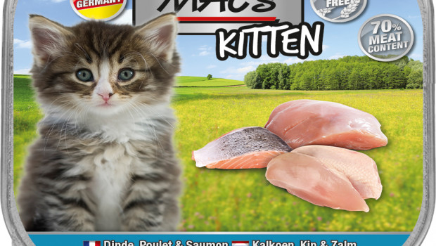 Pro Pet Koller , MAC'S Kitten