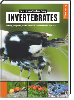 Dähne Verlag, Invertebrates