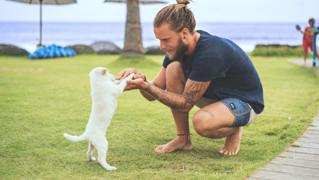 59 per cent of new pet owners in the UK are aged 16-34. Photo: StockSnap, Pixabay