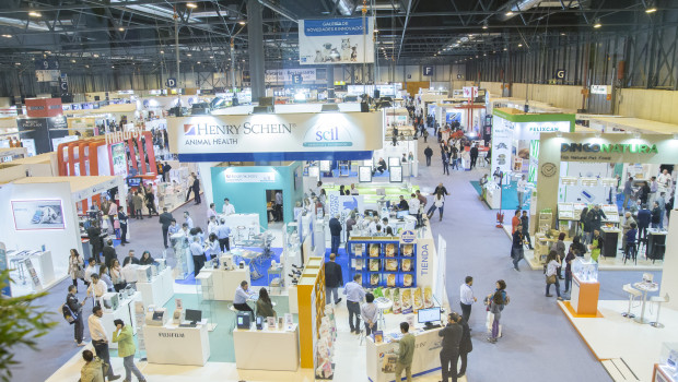 Iberzoo+Propet Iberzoo+Propet