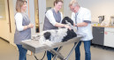 Prins Petfoods introduces veterinary training centre