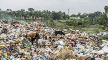 Pet industry rallies again for Plastic Recovery July Pet industry rallies again for Plastic Recovery July