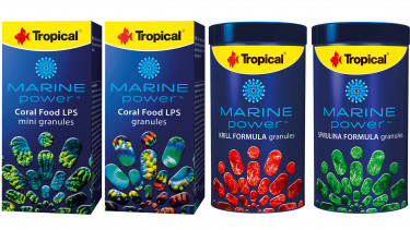 40 years of experience