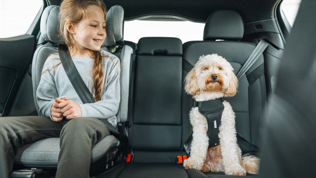 A number of systems have been recognised with awards; the range also includes child seats and pet transport solutions. A number of systems have been recognised with awards; the range also includes child seats and pet transport solutions.