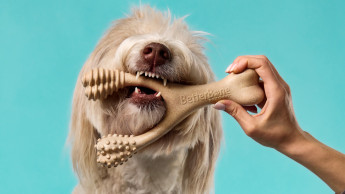 New partners for BetterBone in China, Brazil and Thailand New partners for BetterBone in China, Brazil and Thailand