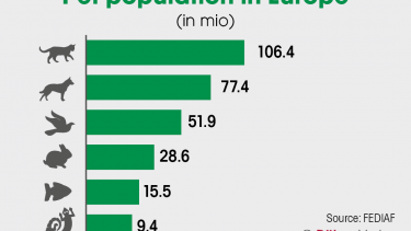 The pet situation in Europe