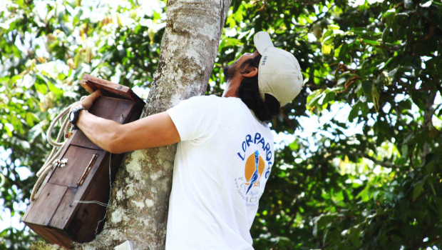 The Loro Parque Fundación has its own breeding station where it is building a reserve population of extremely endangered species.