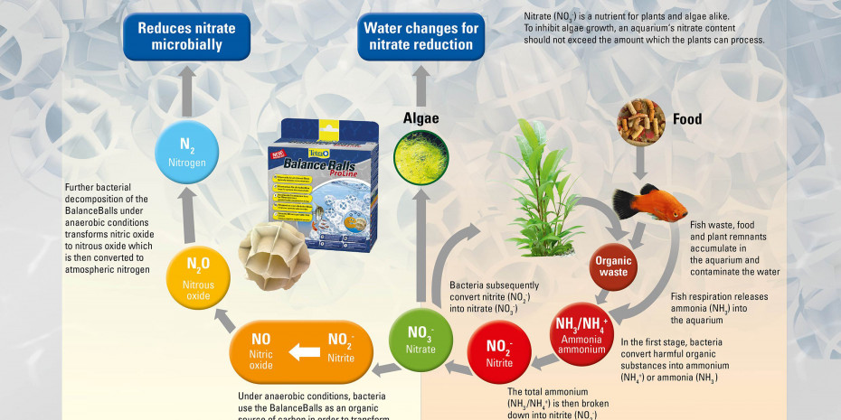 Biological filtration, Diagram
